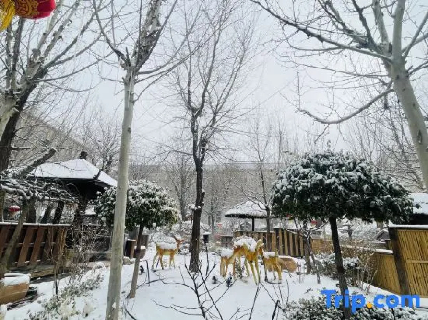 Manpu Tianmu Yangyan Hot Spring Hotel (Zhenbeibao Western Studios See Helan Performing Arts Town)