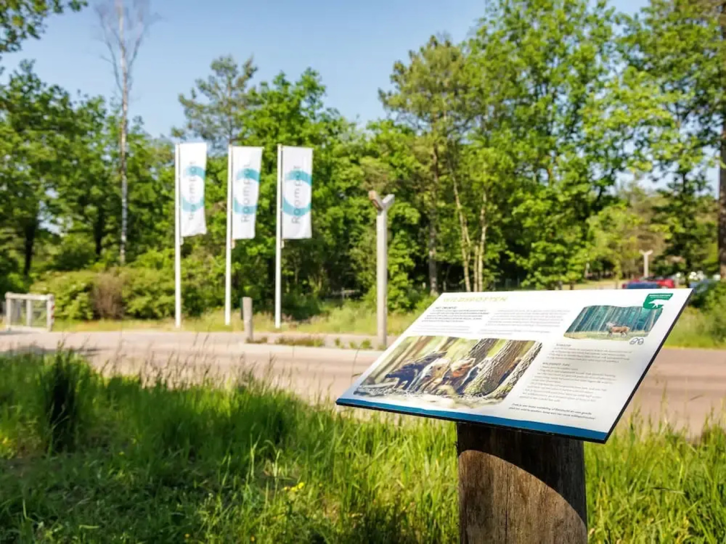Hoenderloo Getaway With Pool