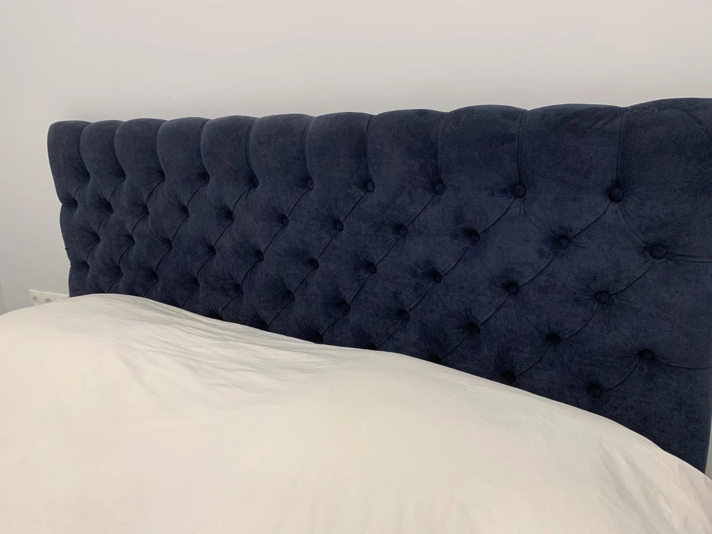 Sperveri Della Regina