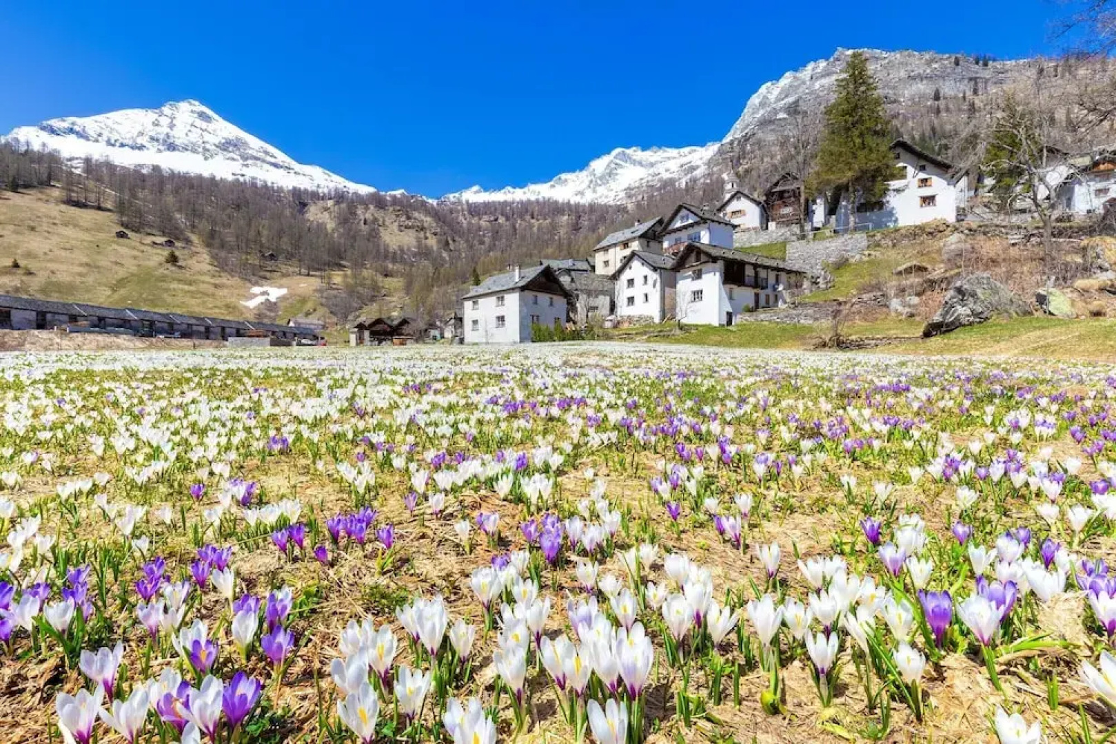 Rustico Al Museo Bosco Gurin
