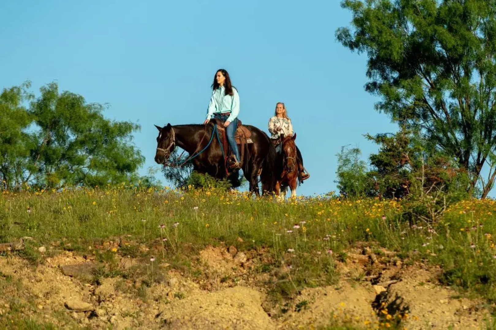 Wildcatter Ranch & Resort