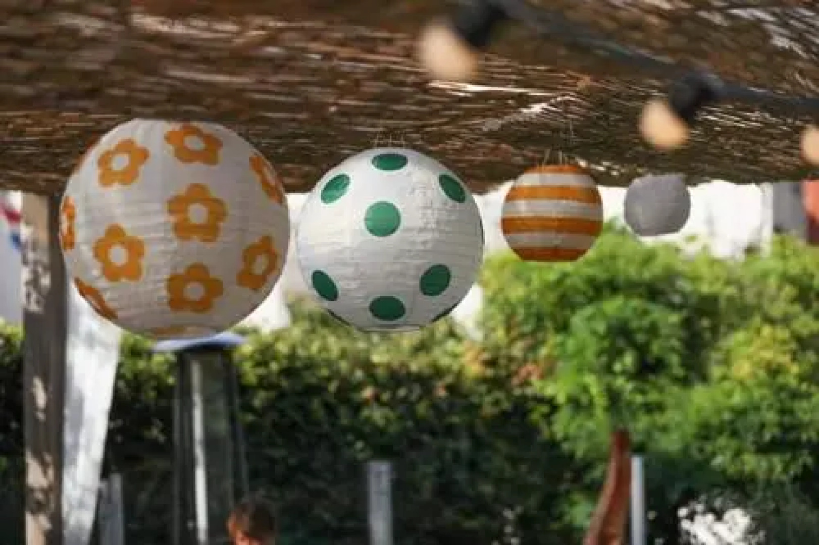 Saga Bed and Breakfast