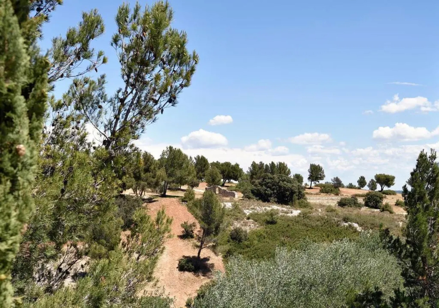 Les Garrigues de la Vallée des Baux