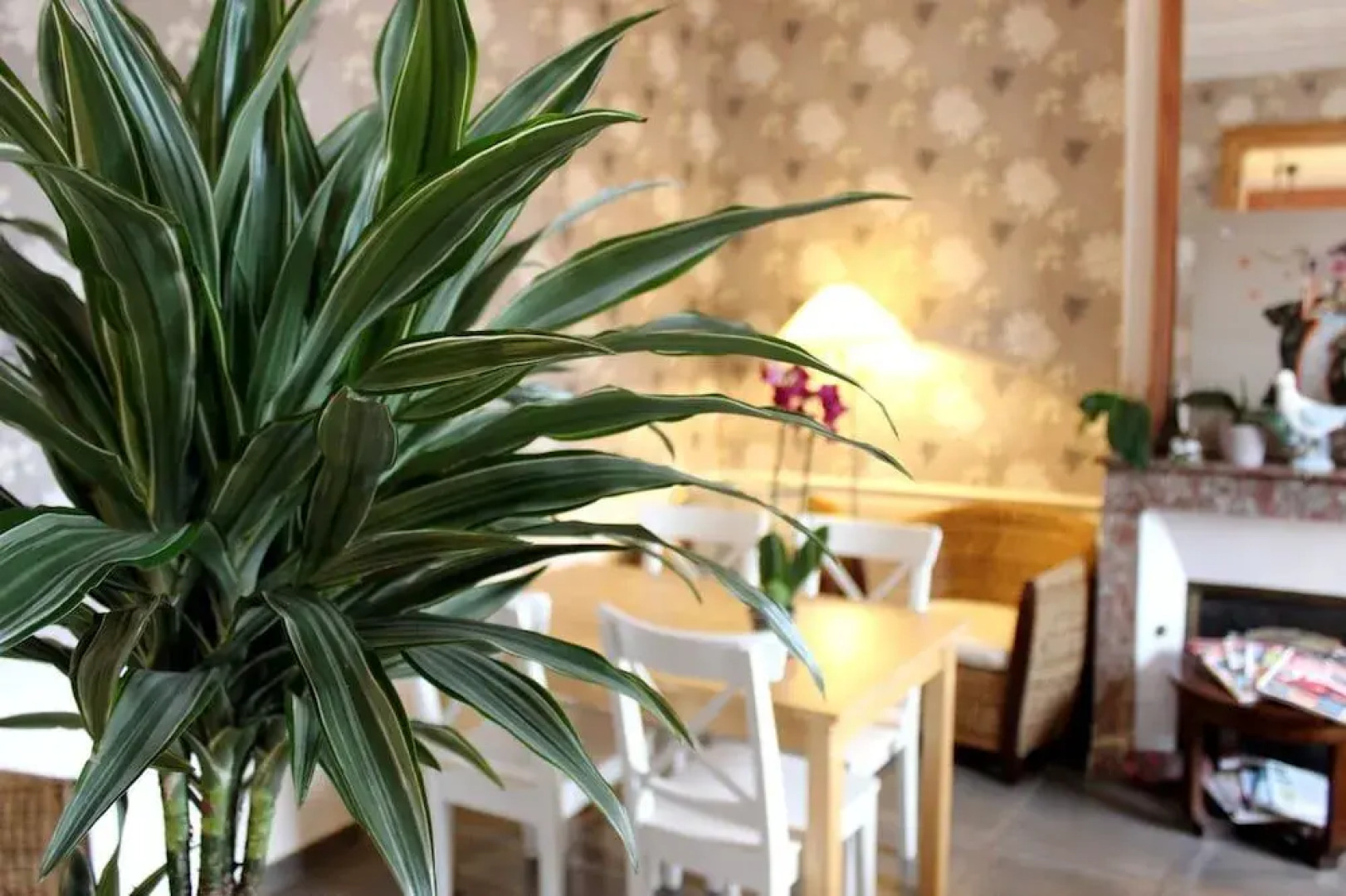 Hôtel les Aubépines