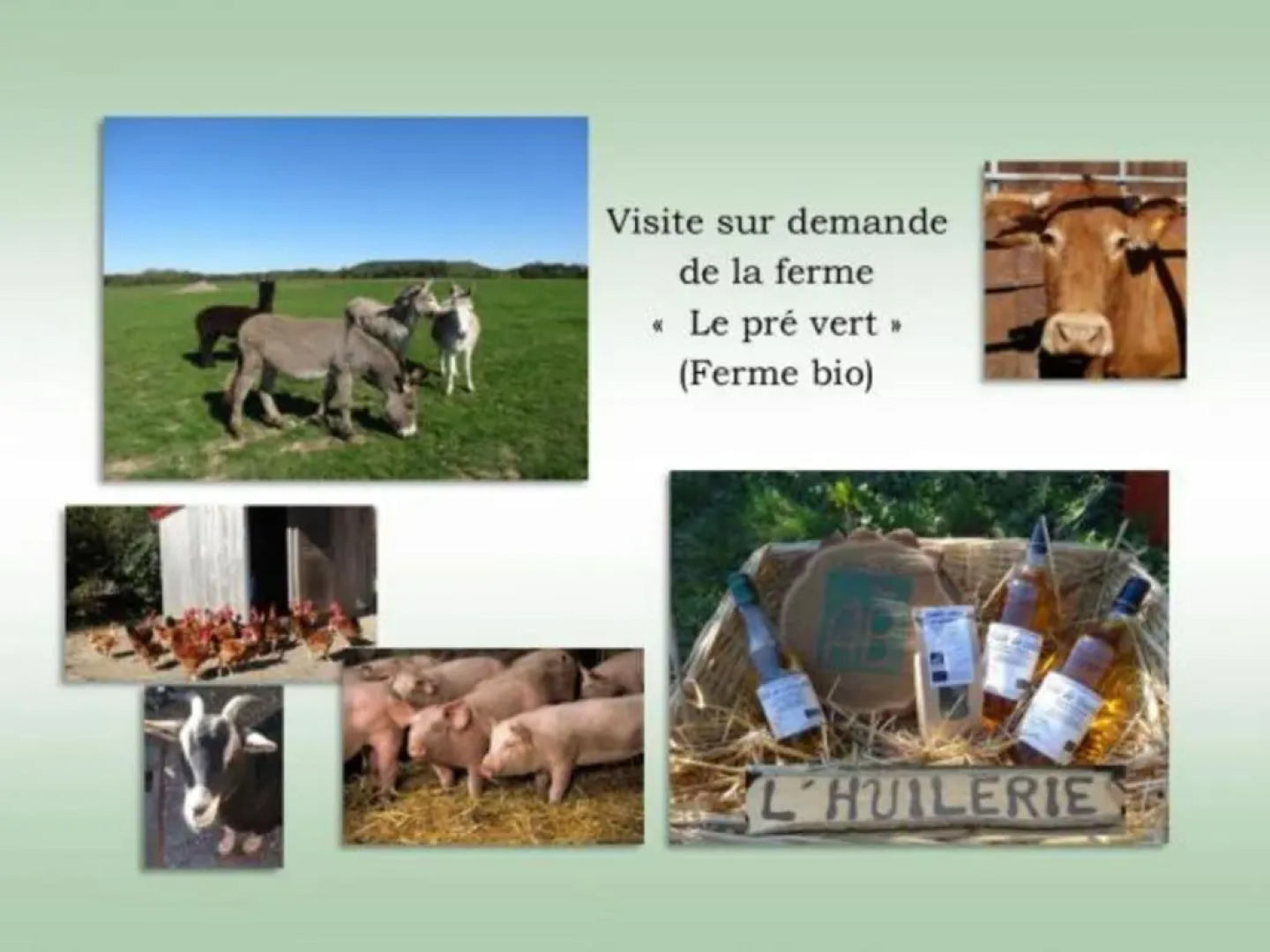 Gite Vrécourt, 3 pièces, 5 personnes - FR-1-589-245