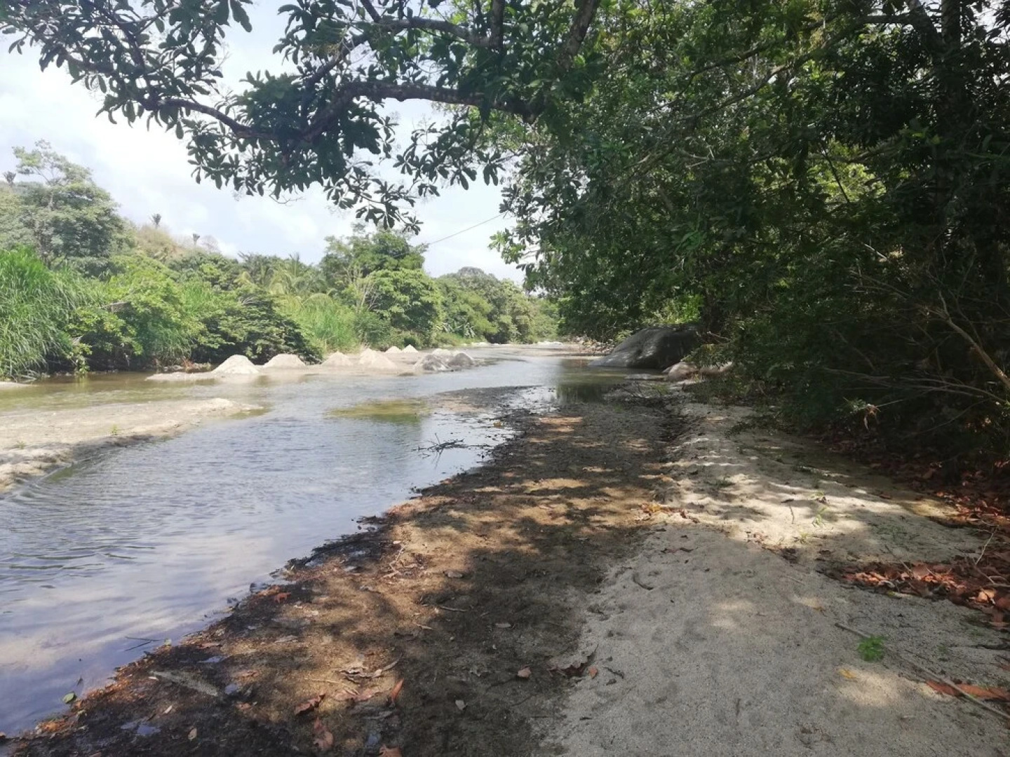 Cabañas Ecoturísticas Mi Terruño Tayrona