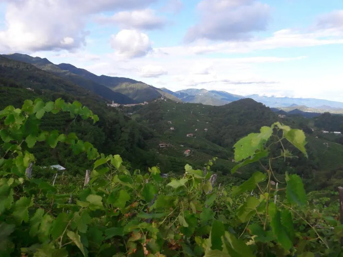 Bed and Breakfast Isabella