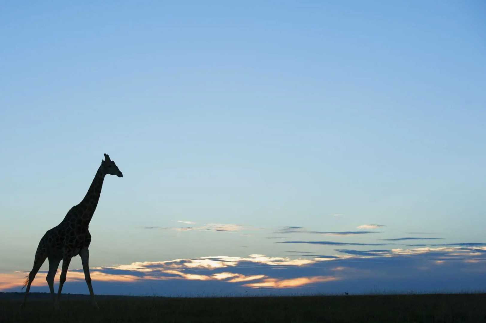 Shamwari Eagles Crag