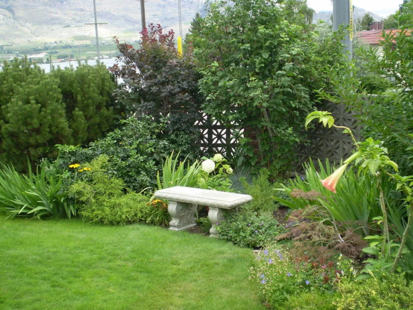 Desert Oasis Bed & Breakfast