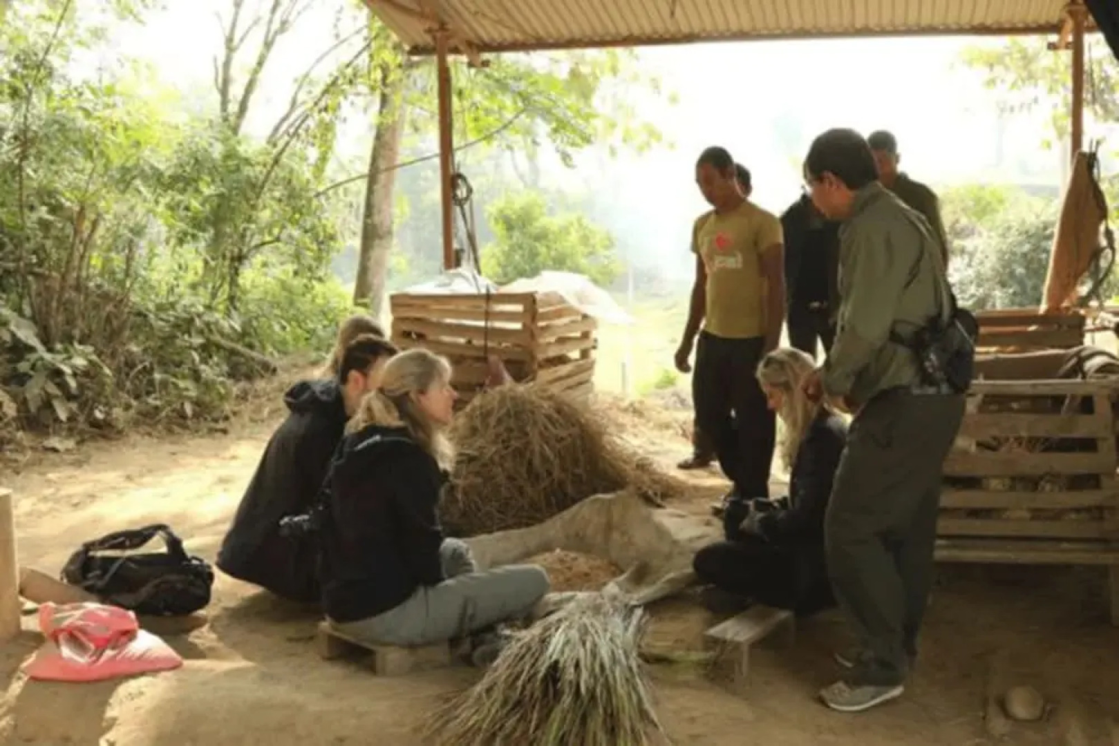 Tigertops Elephant Camp