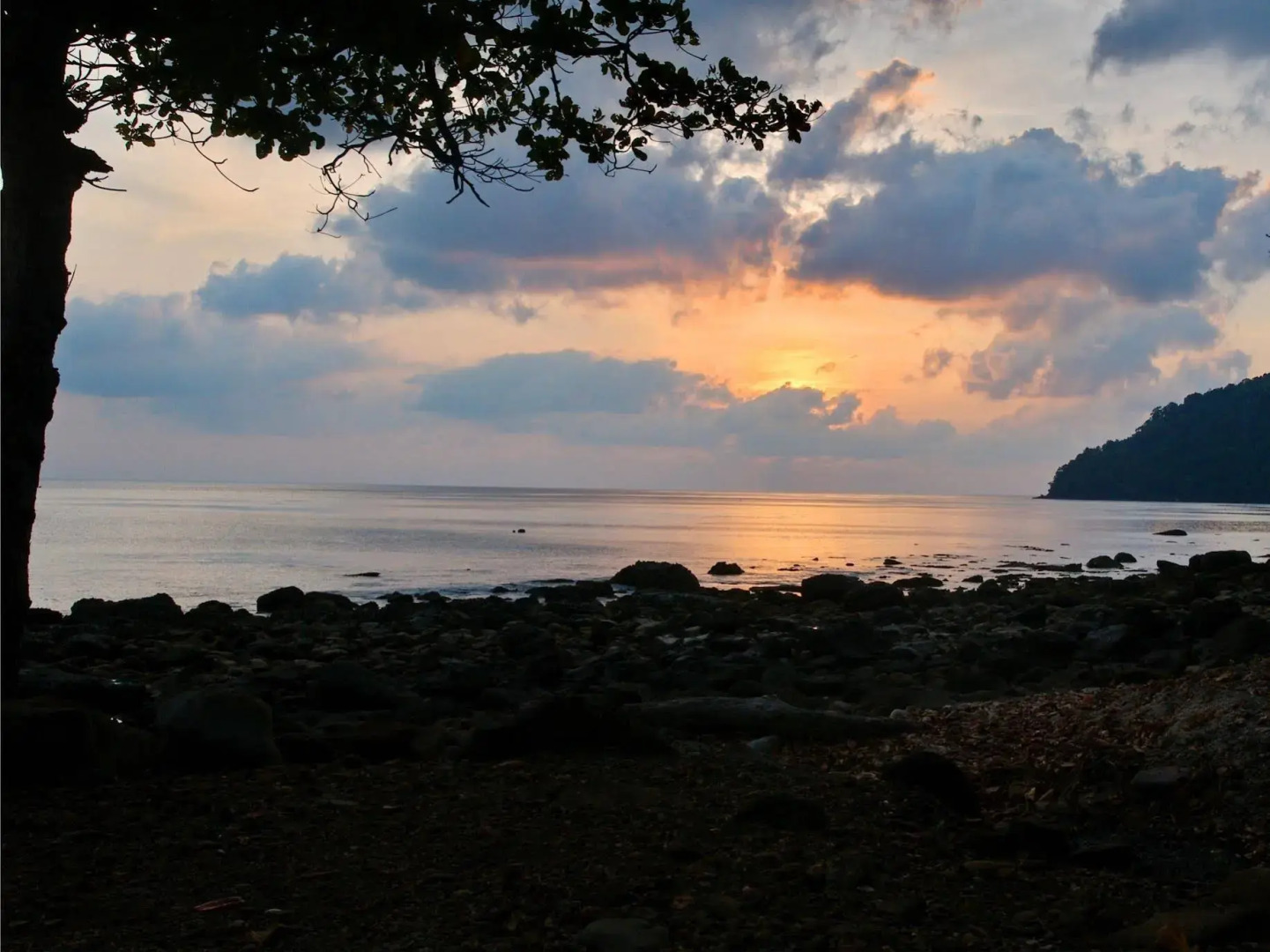 The Pade Dive Resort