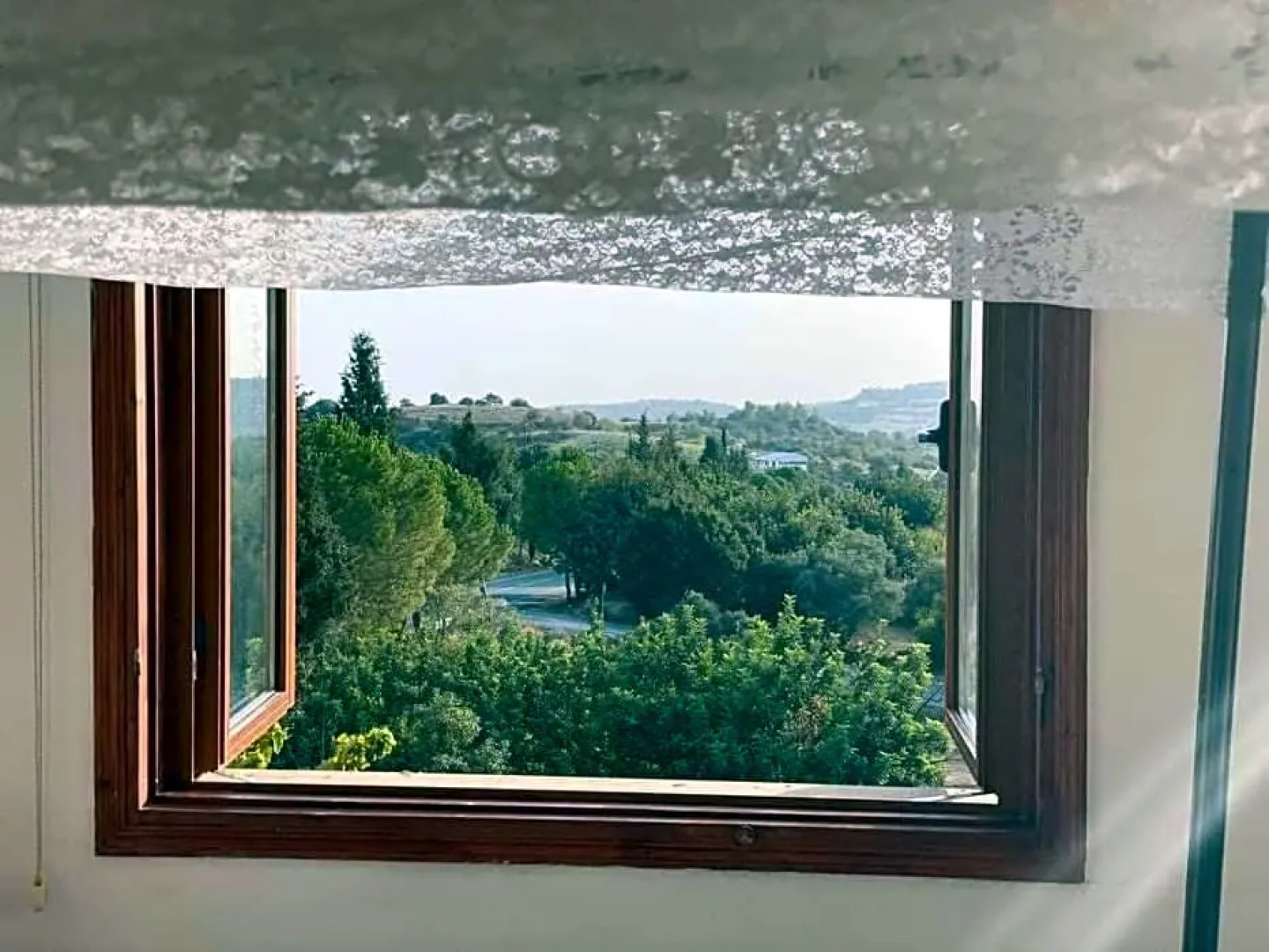 Spring Of Life Forever