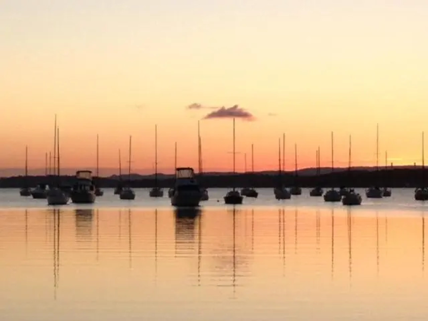 Aquarius Motel Belmont