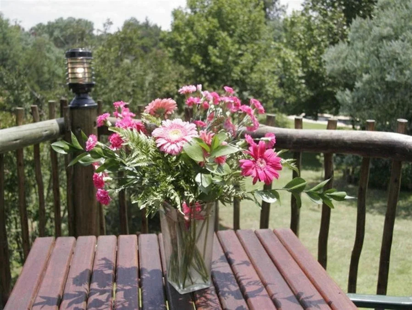 Midrand Wild Goose Guest House