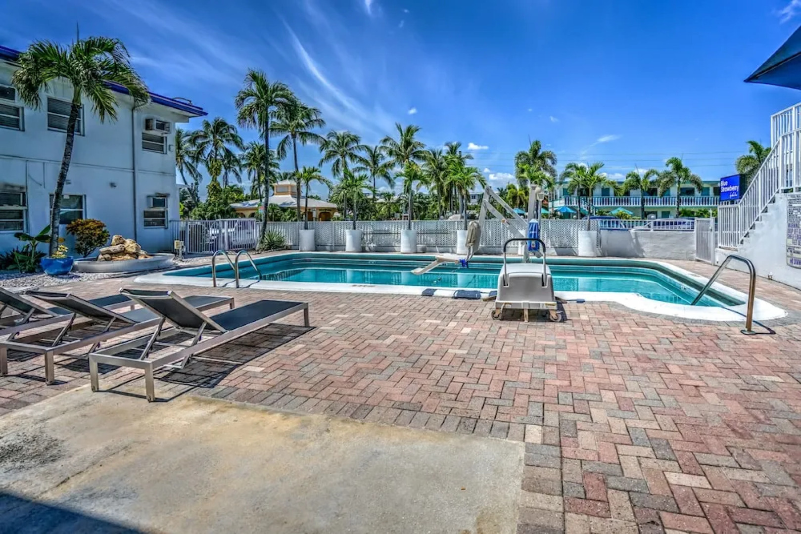 Blue Strawberry by the Sea