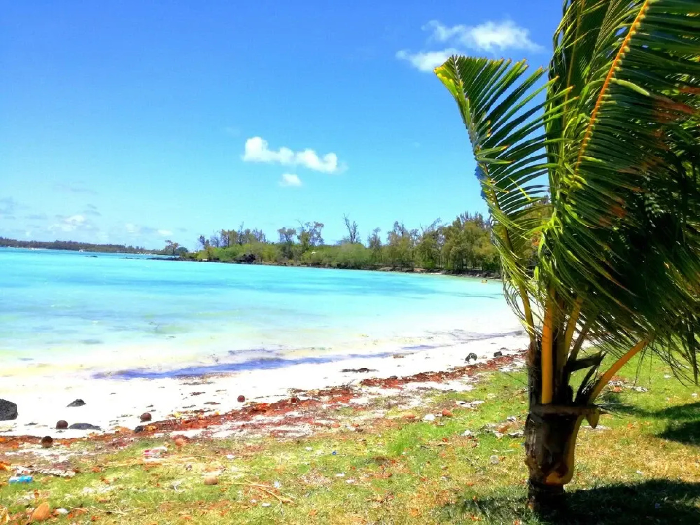 Bahama Breeze Beach Apartment B&B