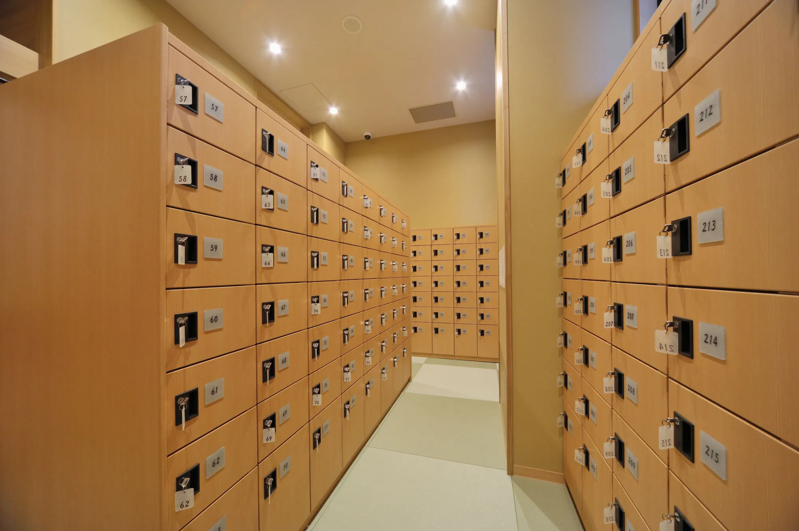 Tennen Onsen Toyama Tsurugi no Yu Onyado Nono