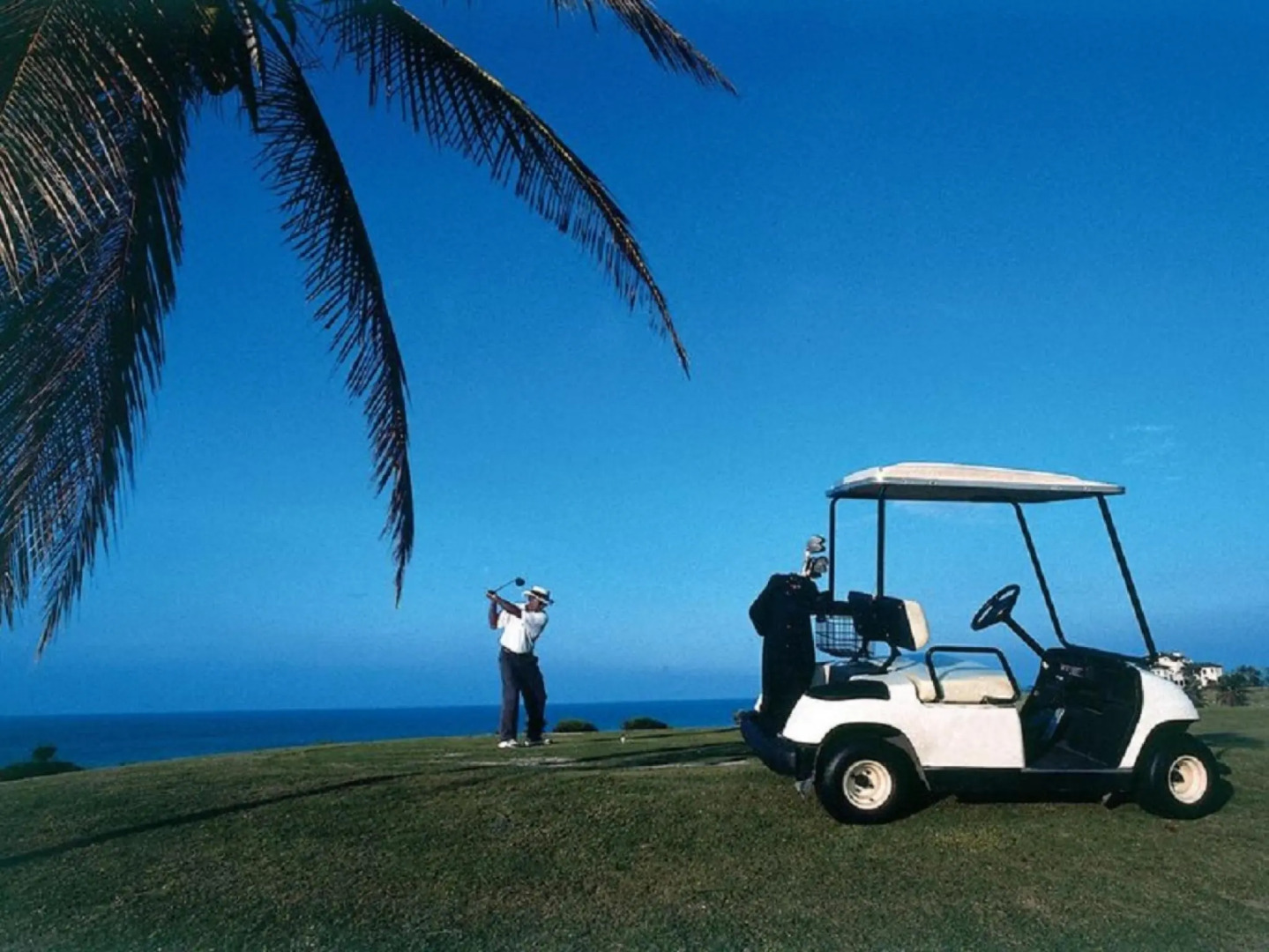 Occidental Arenas Blancas