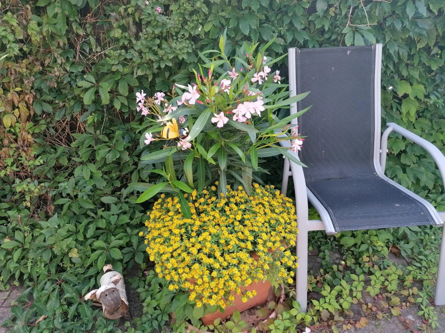 Pension Haus Anneliese