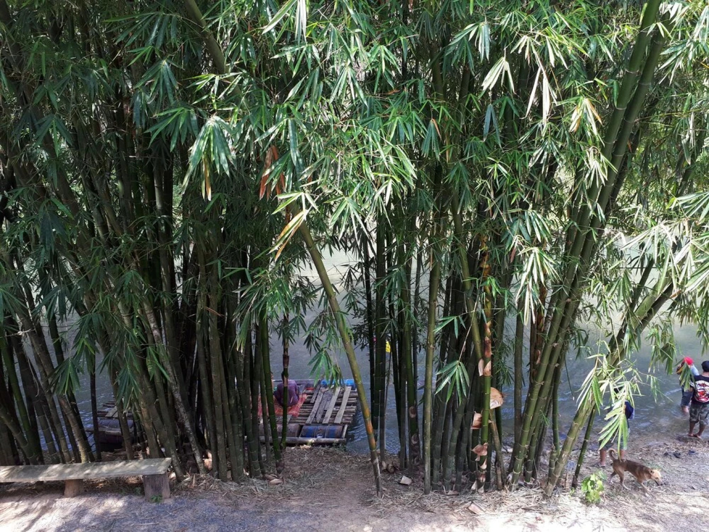 Longgaeng Wang Chompoo