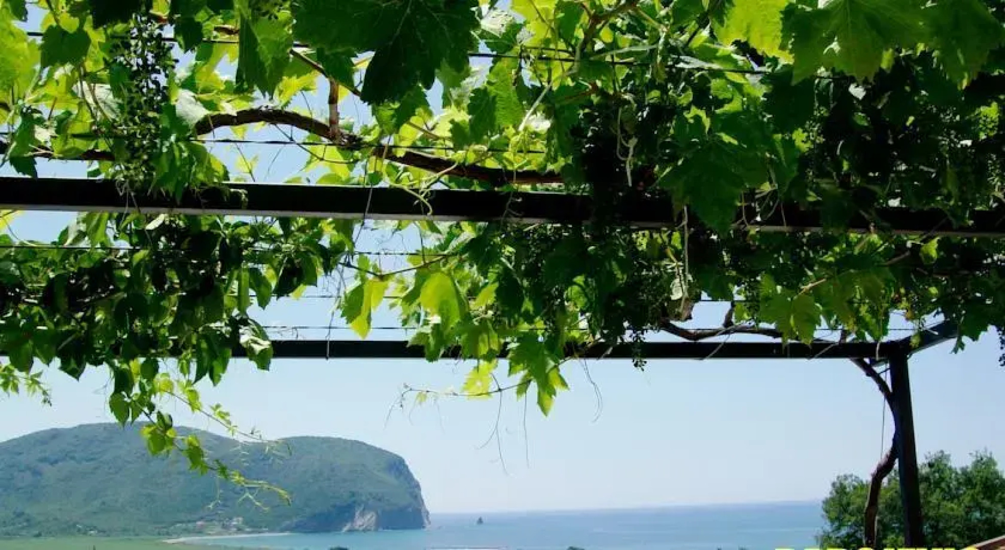 Apartments Radojević