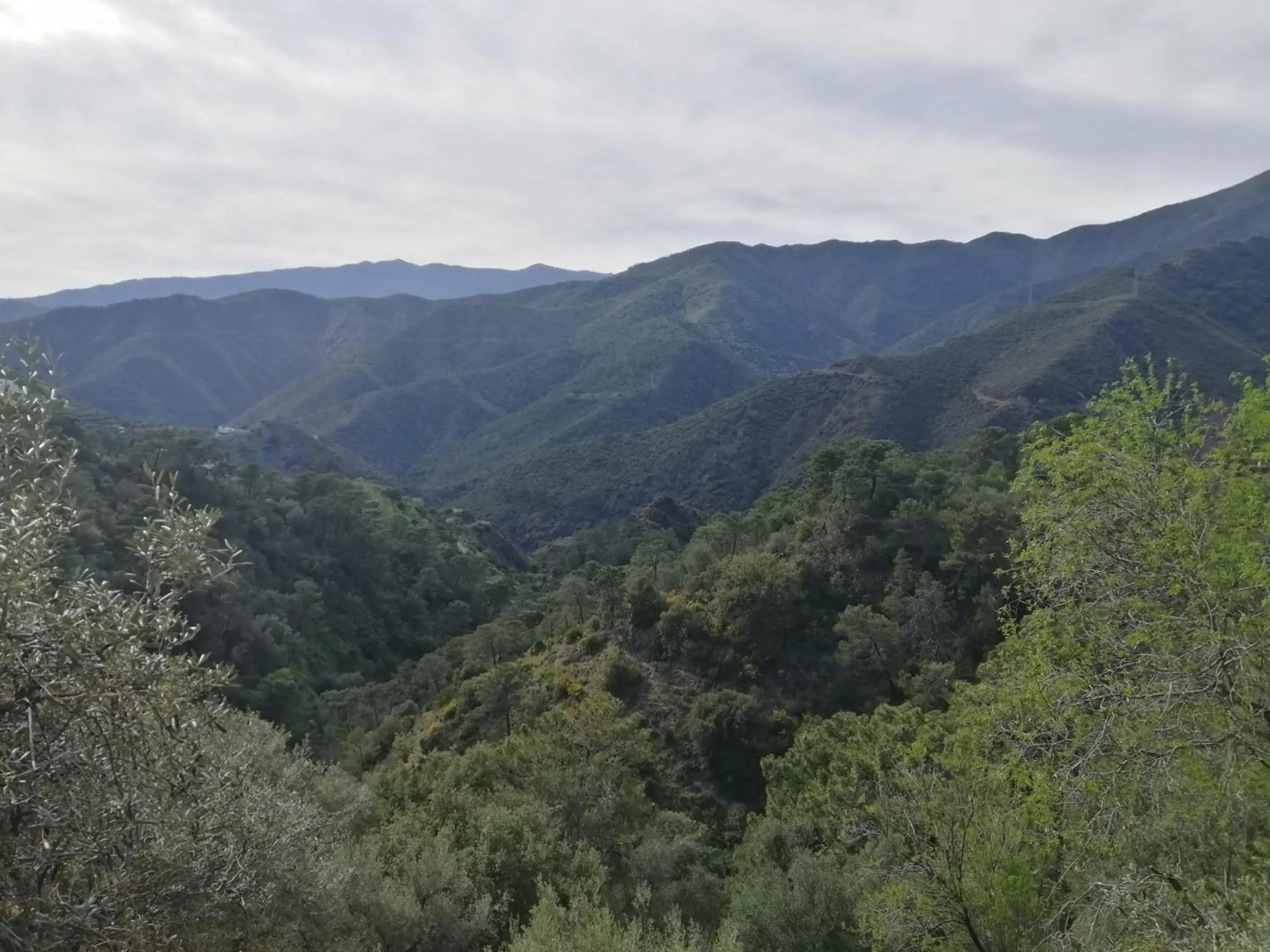 Casa Proyecto Pepe Bravo - Arte de manos y corazón