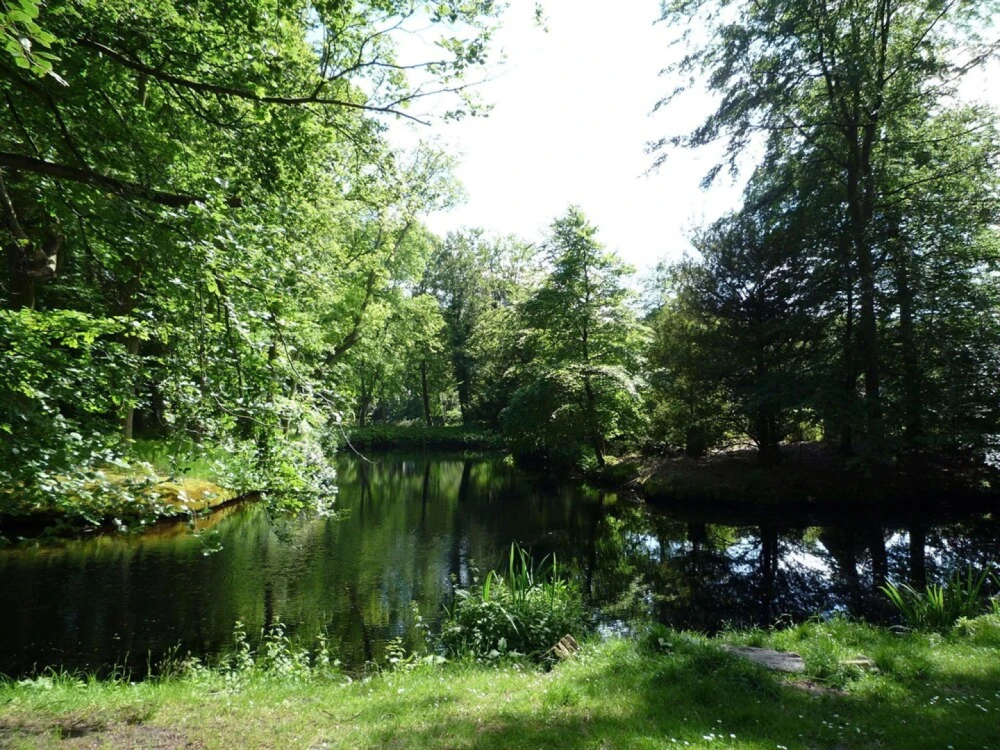 Apartment Bergen aan Zee Near Beach