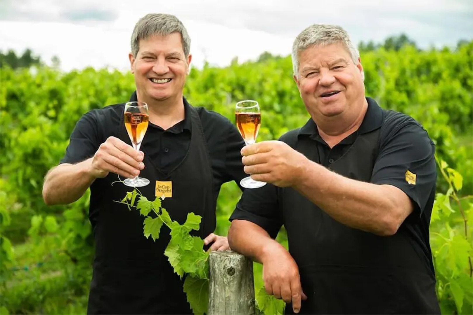 Au Sommet Du Lac Magog