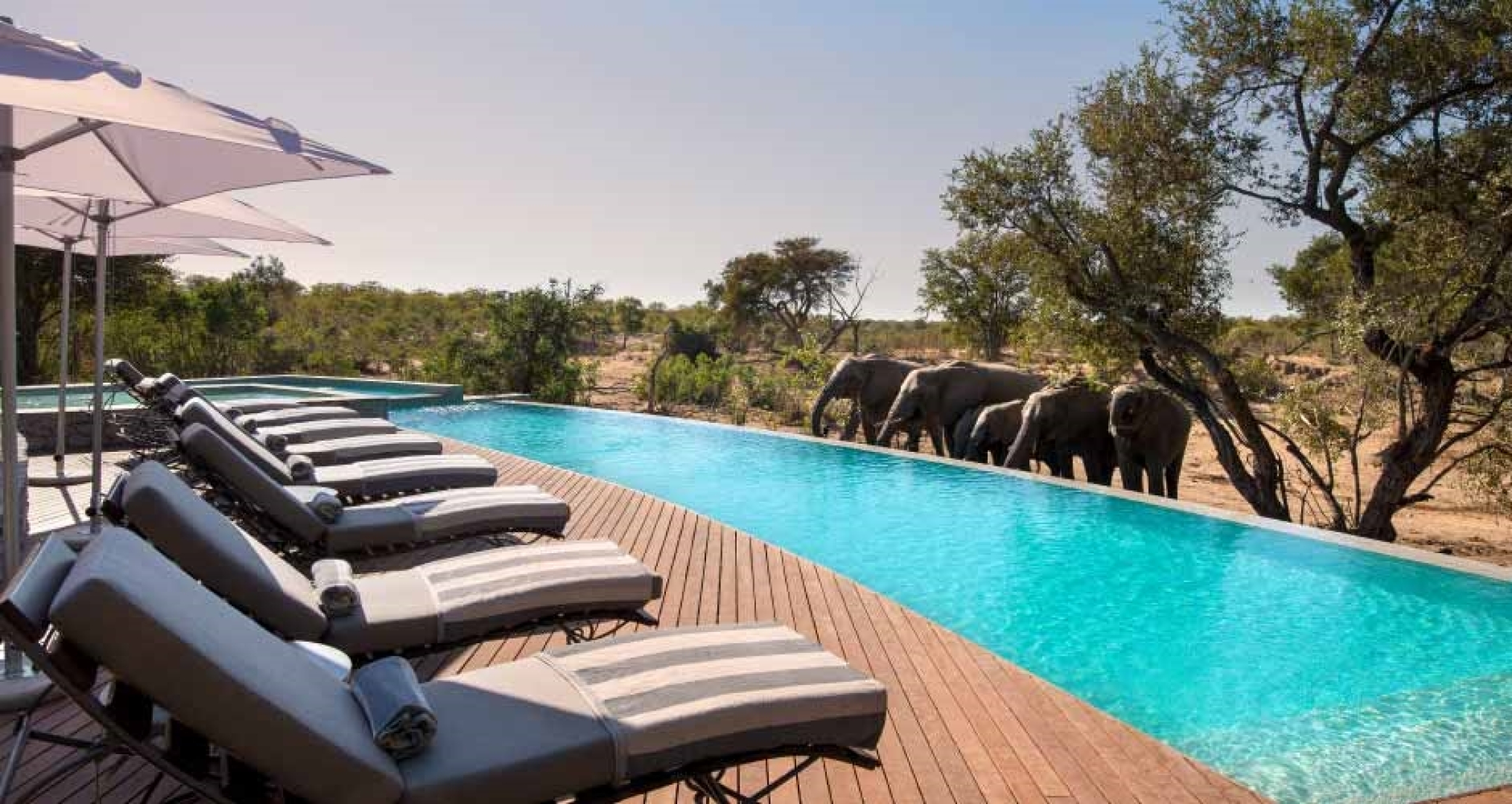 andBeyond Ngala Safari Lodge