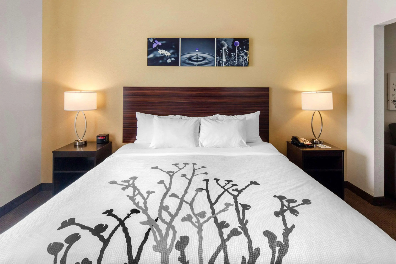 Sleep Inn & Suites Norman near University