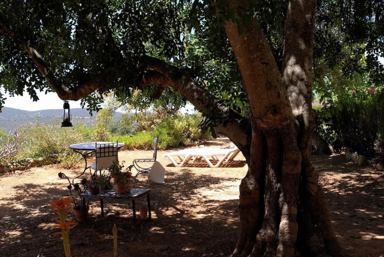 Quinta Amarela XL by Portucasa