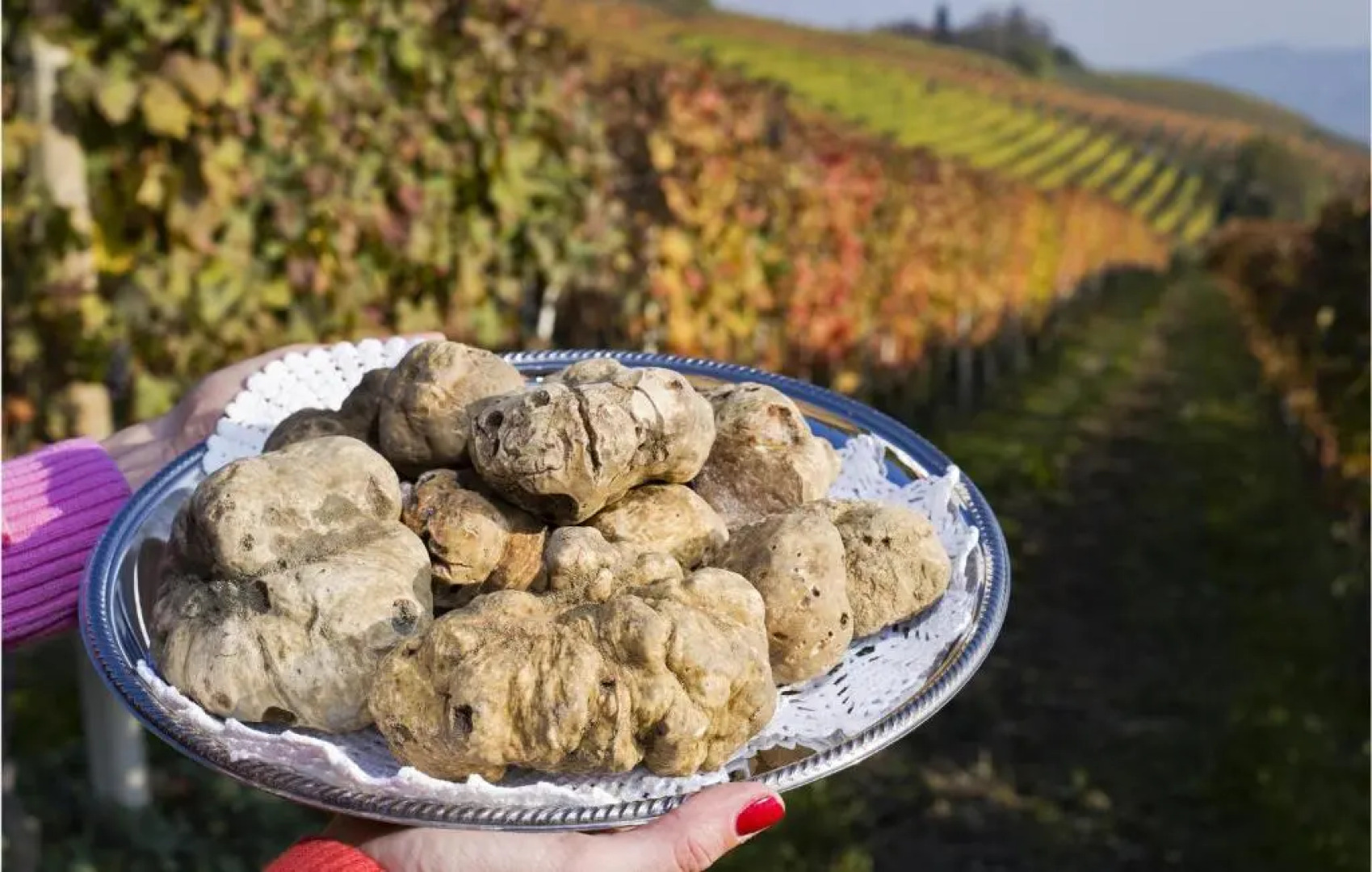 Nice home in Priocca with WiFi and 2 Bedrooms