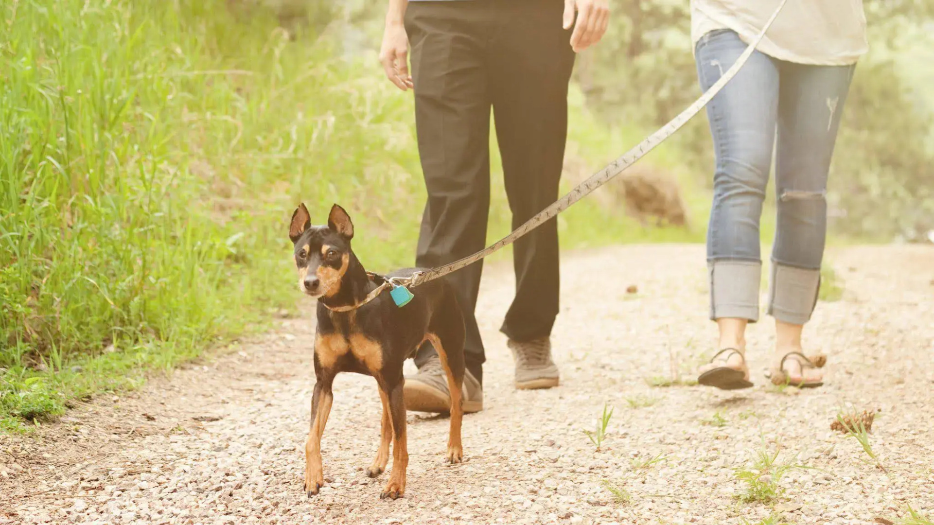 Holiday Inn Resort Deadwood Mountain Grand by IHG