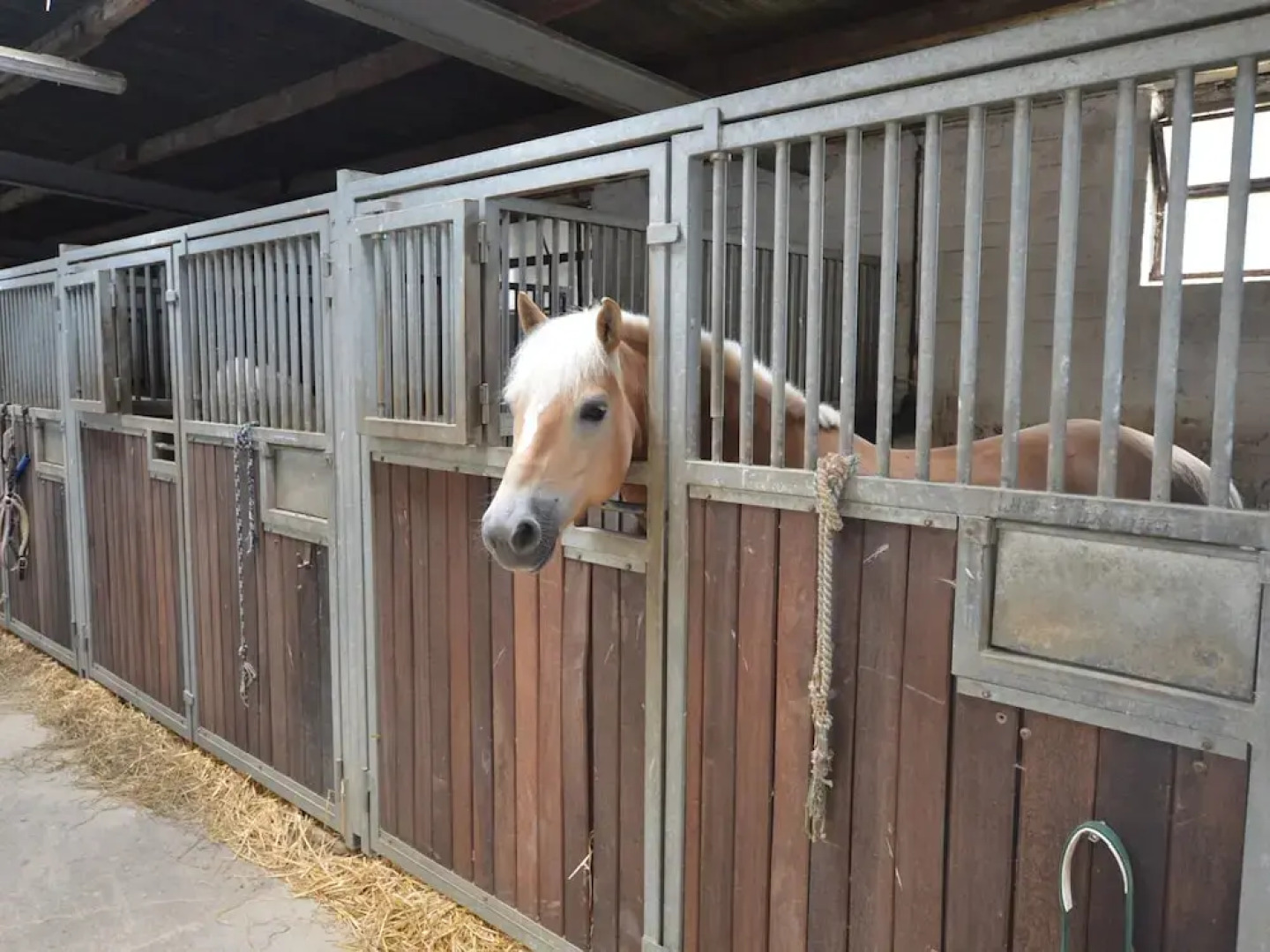 Farmstay Comfort in Juchen