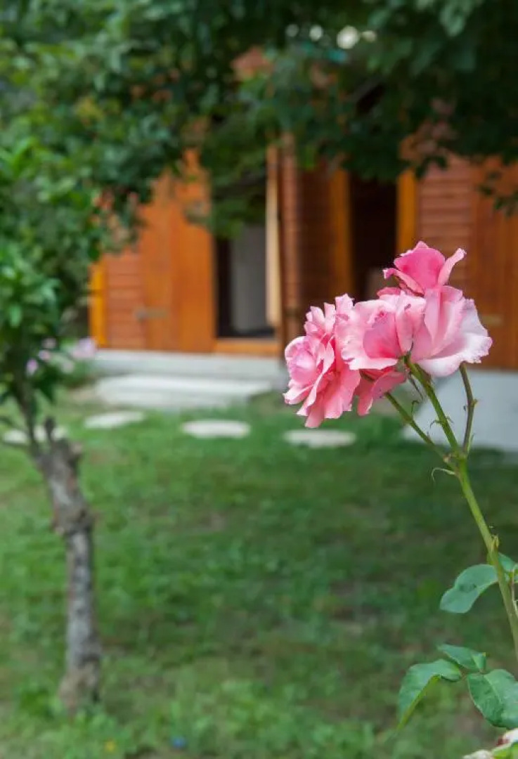 Family Holiday Apartment with garden & BBQ