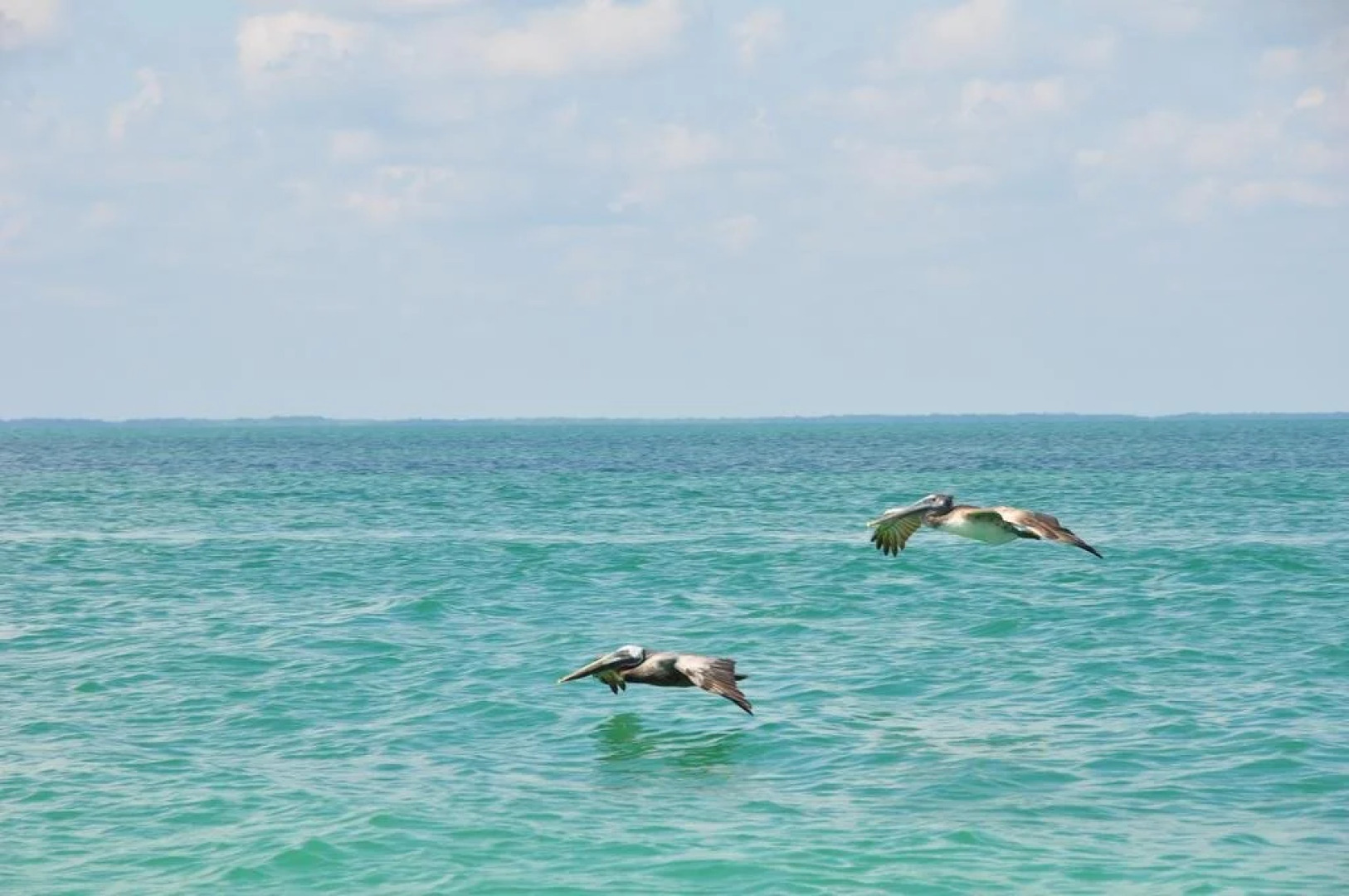 Casa Punta Coco & Beach Club