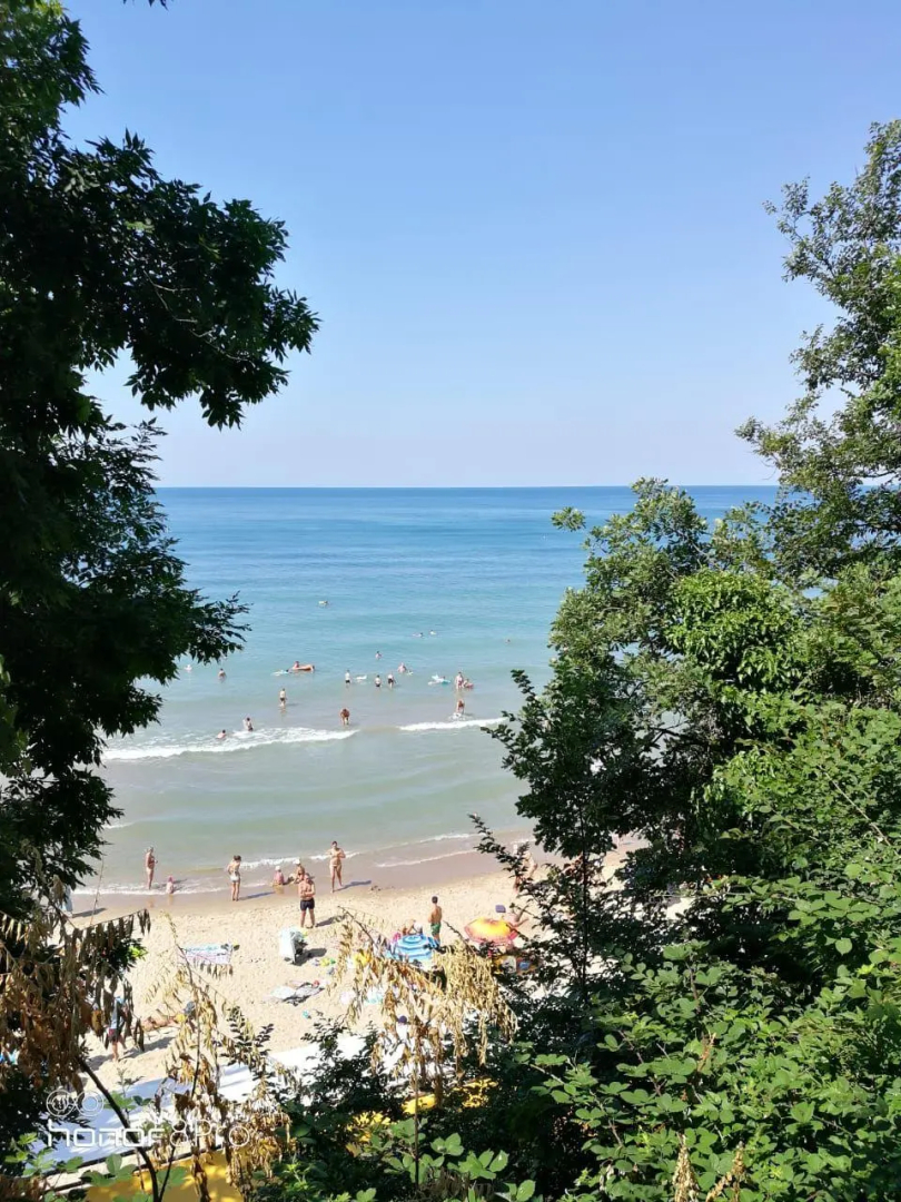 Forest Club (Форест Клаб)