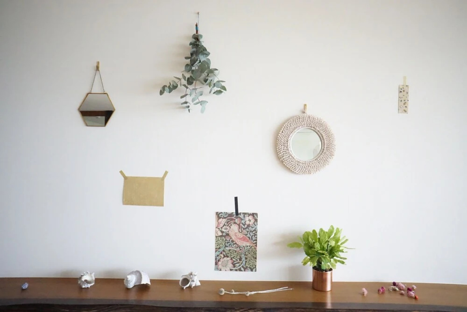 Blue Steak Wonder Nagahama