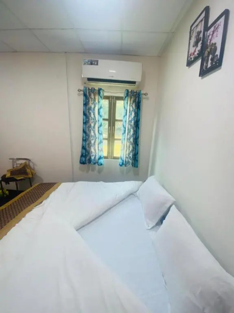 Lushy Days Boom Camp