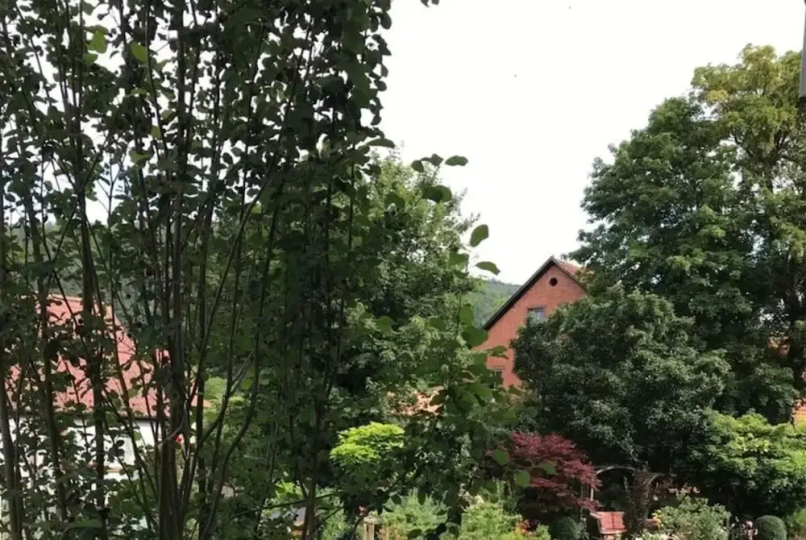 1 Mainblick Brigitte