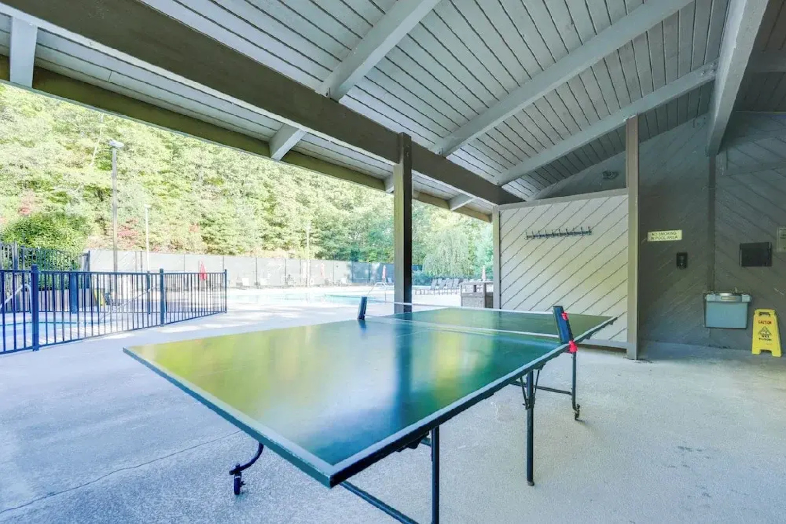 Blue Ridge Pkwy View & Deck: Brevard Home!