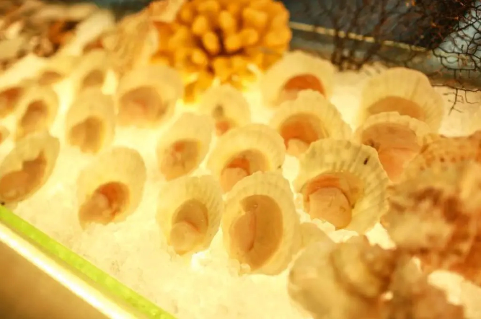 Wyndham Grand Plaza Royale Chenzhou