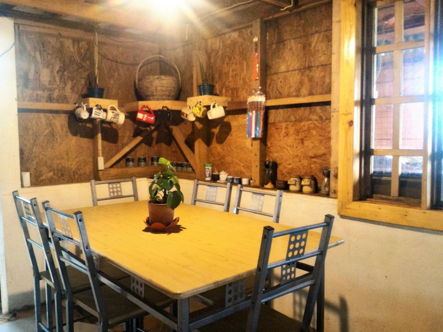 Tribuhaus Backpackers Inn