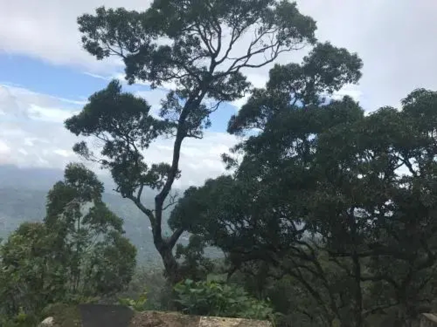 31st December Farms And Estates