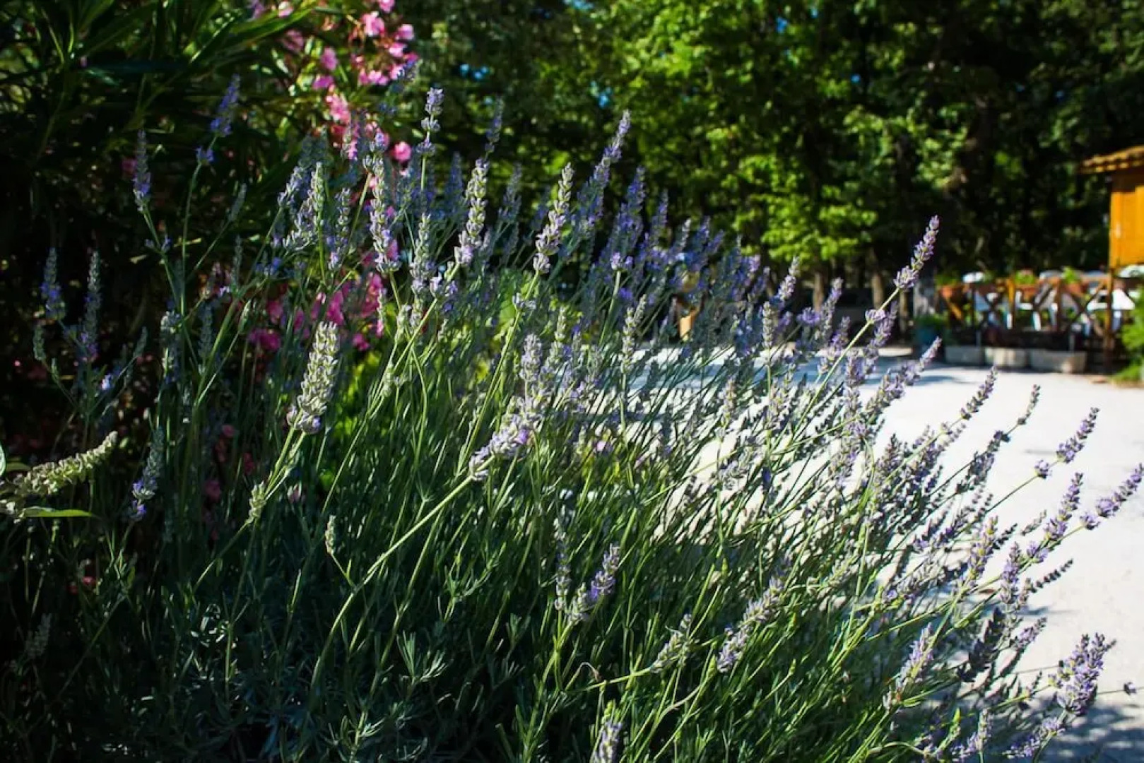 Camping Le Bois Des Ecureuils