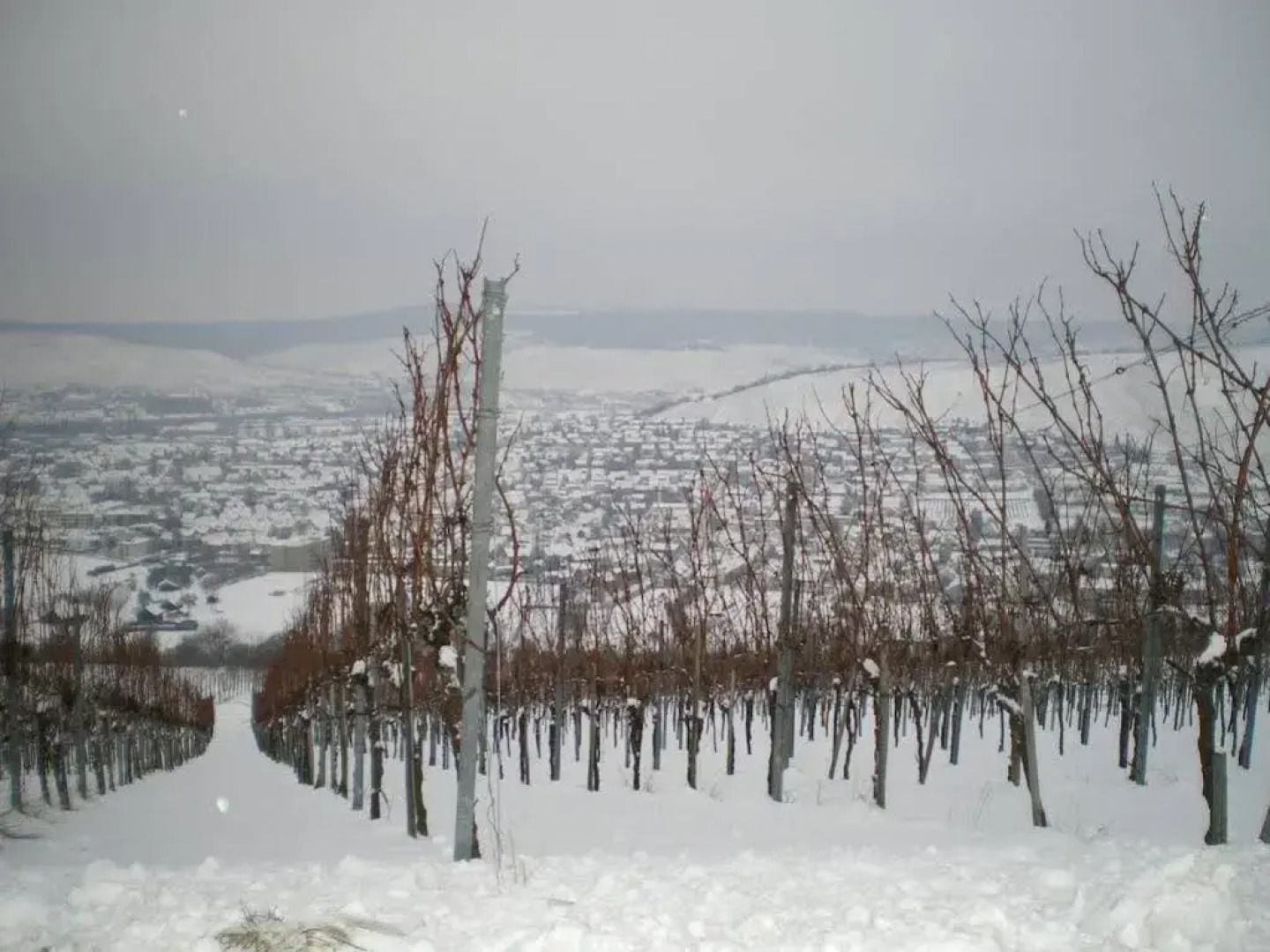 Hotel Landgut Burg GmbH