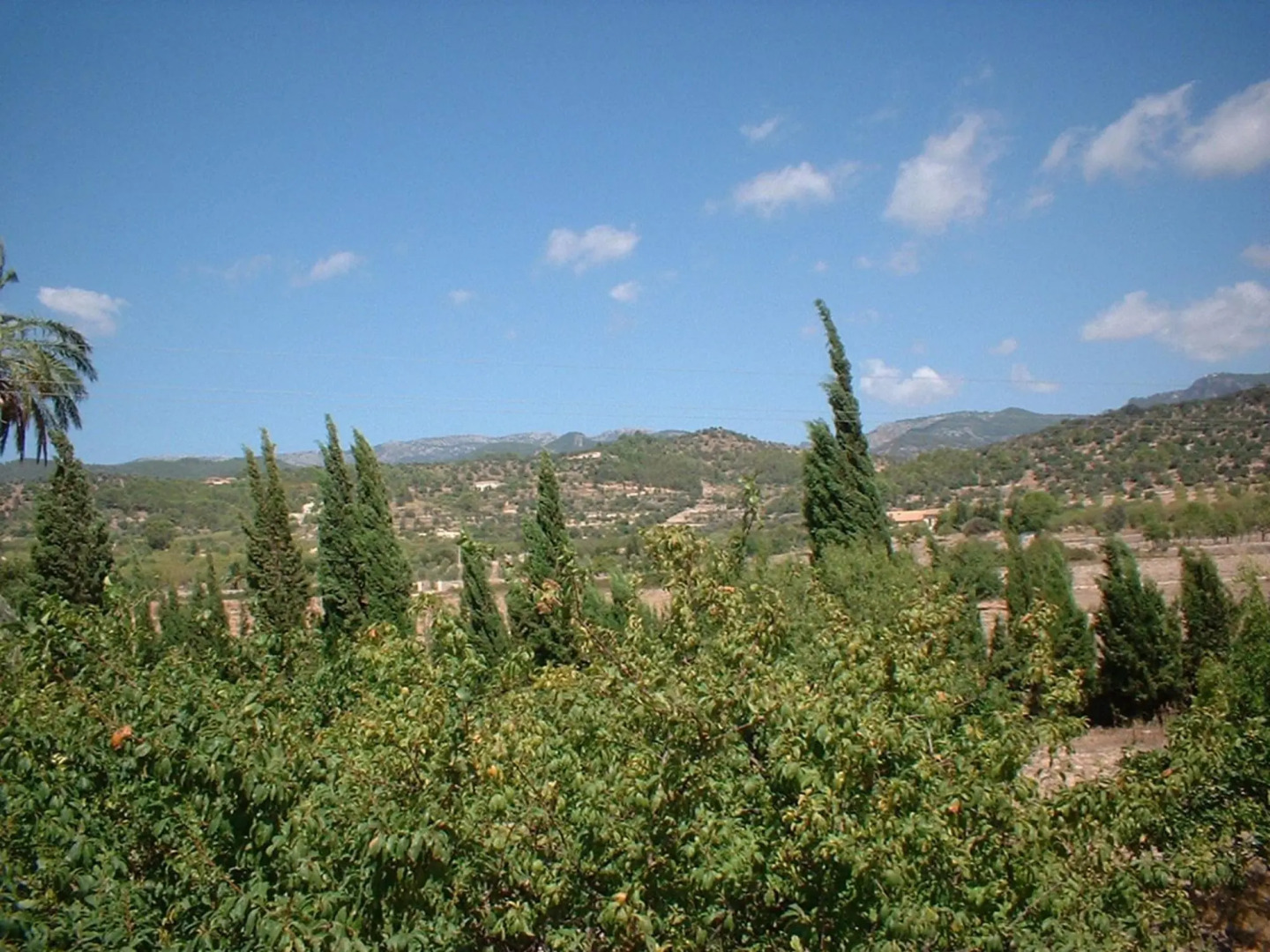 Beautiful old finca with private pool close to the nice village of Alaró
