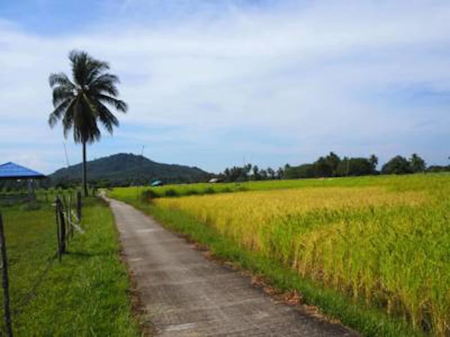 Koh Sukorn Homestay