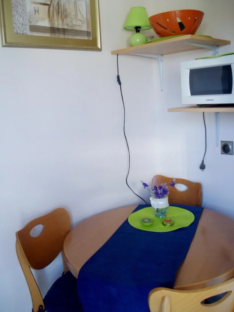 Apartment With 2 Bedrooms in Povljana, With Wonderful sea View, Furnis