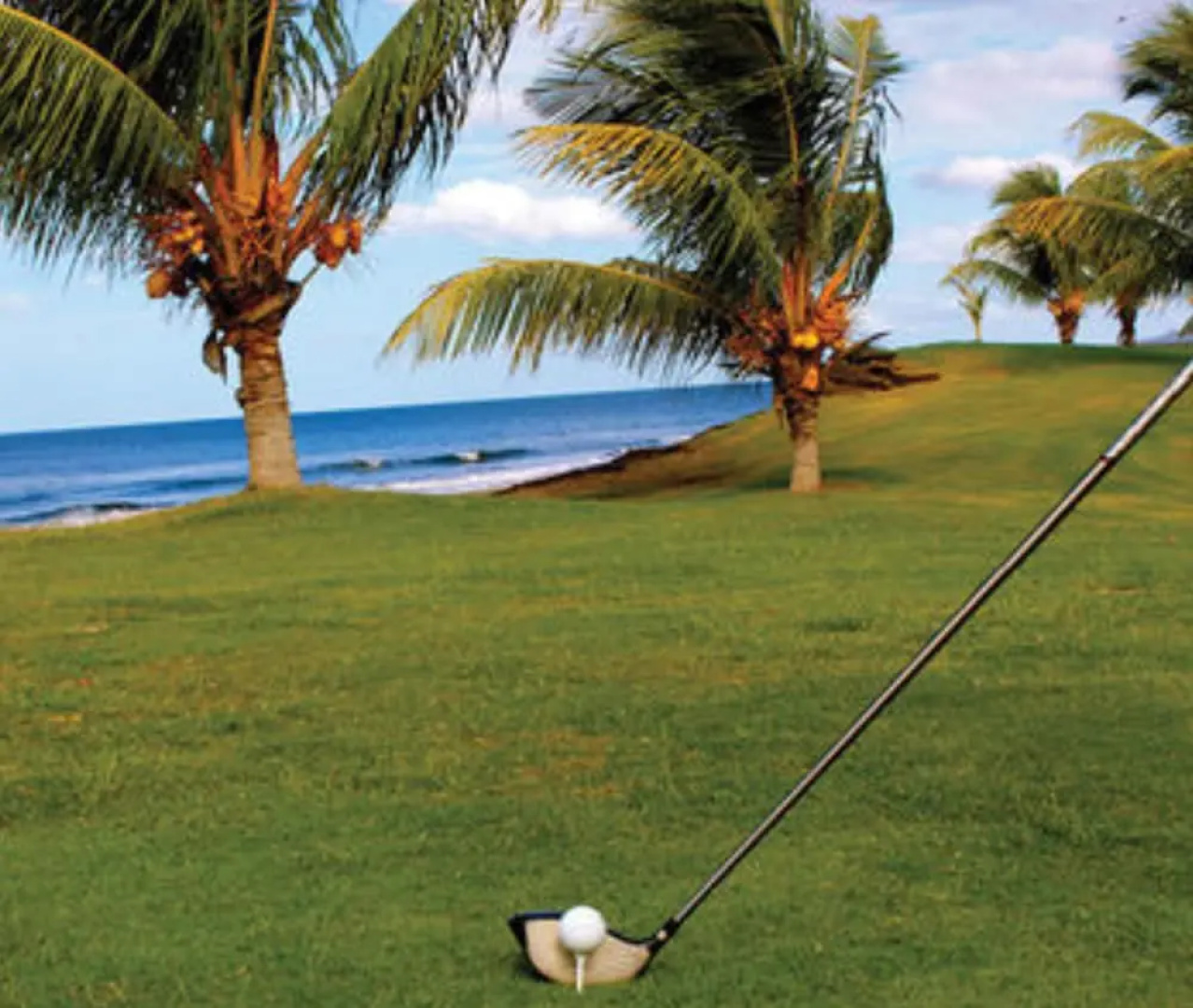Gran Pacifica Beach Resort & Homes